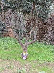2018 11 01 TOULON HOMMAGE AUX VICTIMES CIVILES ET MILITAIRES DES 2 GUERRES (137)